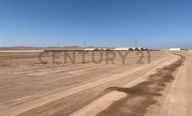 Se arrienda amplio terreno de 5.000 m² en zona industrial La Negra