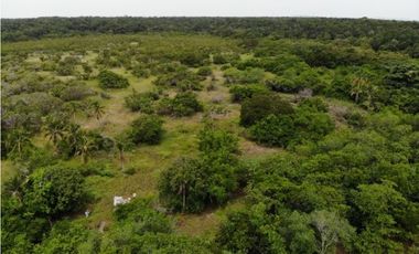 Sea Confiable vende terreno en María Chiquita Colón