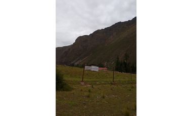 VENDO LOTES A LA PISTA 200 M2 / OLLANTAYTAMBO Y PACHAR, CUSCO PERU