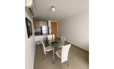 ALQUILER APARTAMENTO AMOBLADO VIA CINCUENTENARIO