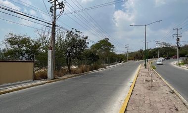 Terreno en renta en la 9a Sur Oriente