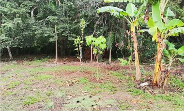 SE VENDE TERRENO EN BARRIADA EL ENCANTO PENONOME