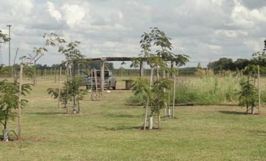 Chacras 5 hectáreas en barrio privado con salida al Río Paraná