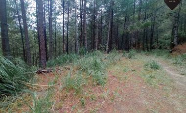 Terreno de venta en Tutupali - Tarqui – código:19946