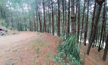 Terreno de venta en Tutupali - Tarqui – código:19946