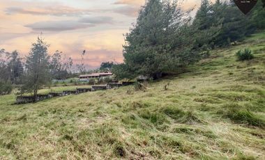 Terreno de venta en Tutupali - Tarqui – código:19946