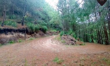 Terreno de venta en Tutupali - Tarqui – código:19946