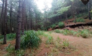 Terreno de venta en Tutupali - Tarqui – código:19946