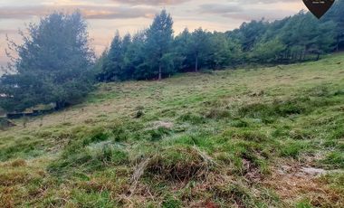 Terreno de venta en Tutupali - Tarqui – código:19946