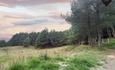 Terreno de venta en Tutupali - Tarqui – código:19946