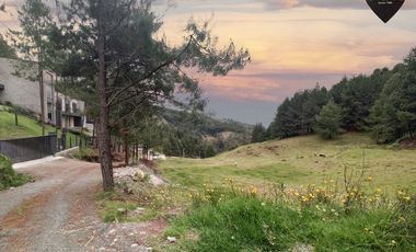 Terreno de venta en Tutupali - Tarqui – código:19946