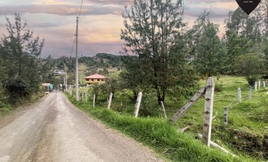 Terreno de venta en Tutupali - Tarqui – código:19946