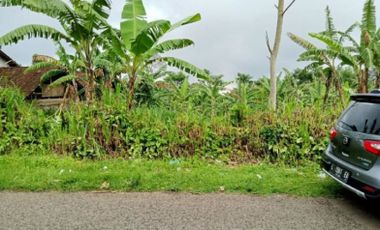 Tanah di Nongko Jajar, Cocok untuk Villa