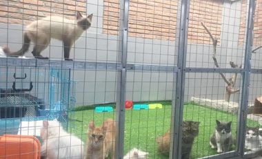 Rumah Dijual Murah di Kota Salatiga