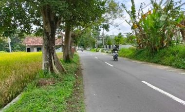 Tanah Sleman di Jalan Pendowo Kawasan Bisnis: Apik Banget