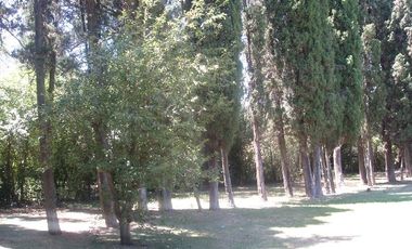 Quinta en Venta, Pilar,  Buenos Aires