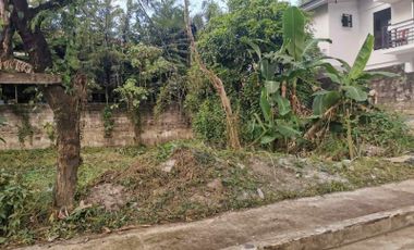 FOR SALE - Vacant Lot in Olive Wing, Woodridge Heights, Marikina City