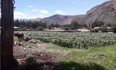 VENDO TERRENO 1,616 M2 URUBAMBA CUSCO PERU
