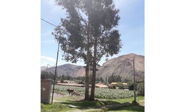 VENDO TERRENO 1,616 M2 URUBAMBA CUSCO PERU