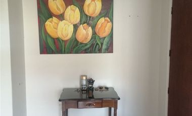 Arriendo amoblado año corrido 3 dormitorios