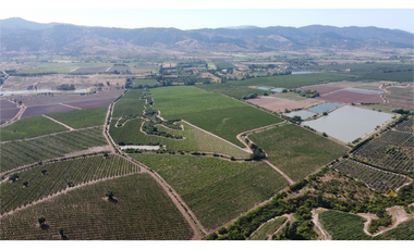 Campo Pencahue, Región del Maule, 43,5 Há