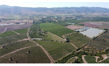 Campo Pencahue, Región del Maule, 43,5 Há
