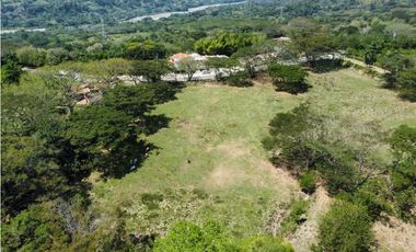 VENTA DE LOTE INDUSTRIAL LA PINTADA, SUROESTE ANTIOQUEÑO