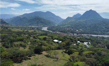 VENTA DE LOTE INDUSTRIAL LA PINTADA, SUROESTE ANTIOQUEÑO