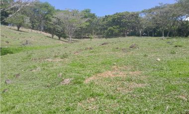 VENTA DE LOTE INDUSTRIAL LA PINTADA, SUROESTE ANTIOQUEÑO