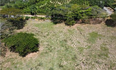 VENTA DE LOTE INDUSTRIAL LA PINTADA, SUROESTE ANTIOQUEÑO