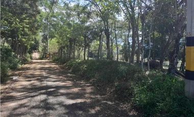 VENTA DE LOTE INDUSTRIAL LA PINTADA, SUROESTE ANTIOQUEÑO