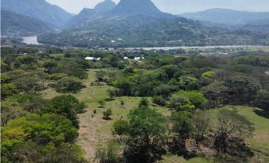 VENTA DE LOTE INDUSTRIAL LA PINTADA, SUROESTE ANTIOQUEÑO