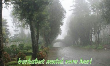 JUAL VILLA BARU DEKAT CIPANAS CIANJUR VIEW GUNUNG GEDE