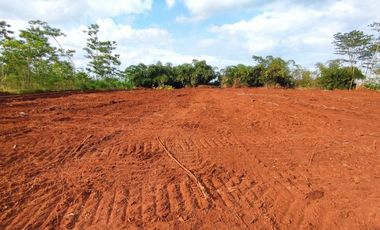 Dekat Jalan Raya Karanganyar Pekalongan, SHM Aman, Bayar 12x