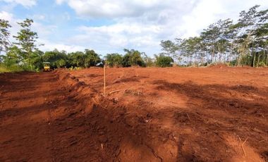 Dekat Jalan Raya Karanganyar Pekalongan, SHM Aman, Bayar 12x