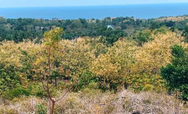 OVERLOOKING SEA VIEW ALCOY Highlands Lot for sale @ 1 HECTAR at 11 MILLION PESOS, ALCOY CEBU