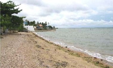 Beachlot 858 and 1,315 sqm in Luyang Carmen Cebu