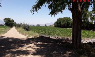 Agrícola en Venta en Vendo Parcela Agricola 7,3 Hectáreas a 1,4 km de Camino Padre Hurtado
