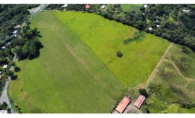 Venta de finca en producción, Coclé