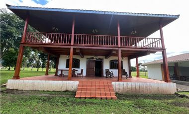 Venta de finca en producción, Coclé