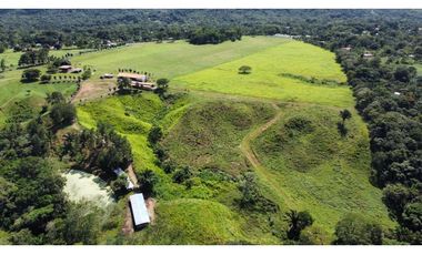 Venta de finca en producción, Coclé