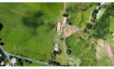 Venta de finca en producción, Coclé