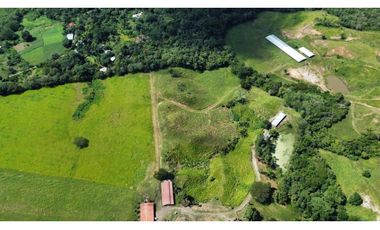 Venta de finca en producción, Coclé