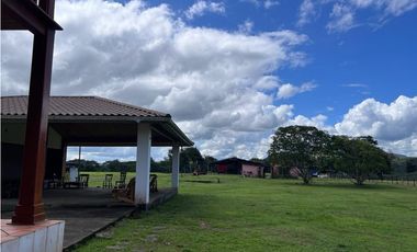 Venta de finca en producción, Coclé