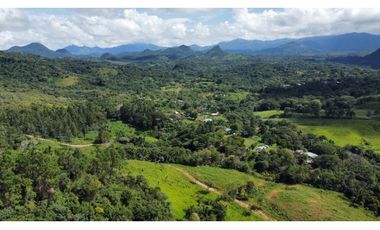 Venta de finca en producción, Coclé