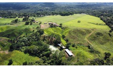 Venta de finca en producción, Coclé