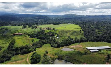 Venta de finca en producción, Coclé