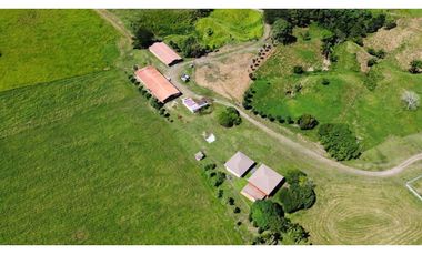 Venta de finca en producción, Coclé