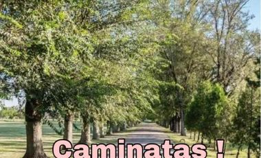 Casa en venta en Canning