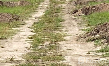 Land for sale in Khao Yai, Phetchaburi